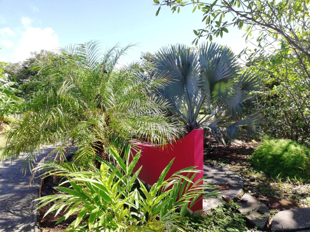 Punta Duarte Garden Inn Los Duarte 외부 사진