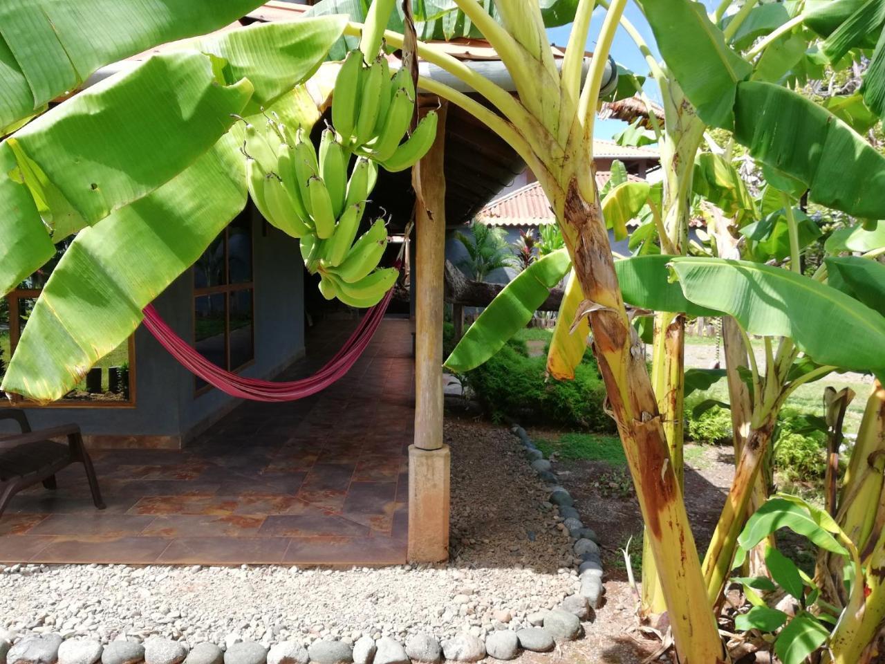 Punta Duarte Garden Inn Los Duarte 외부 사진